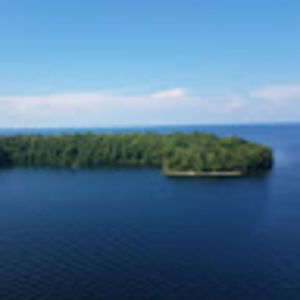 Meet your Posher, Bennett